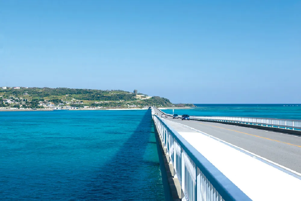 本部半島一周サイクリング