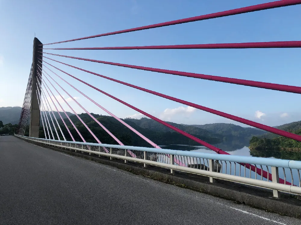 名護サイクリング